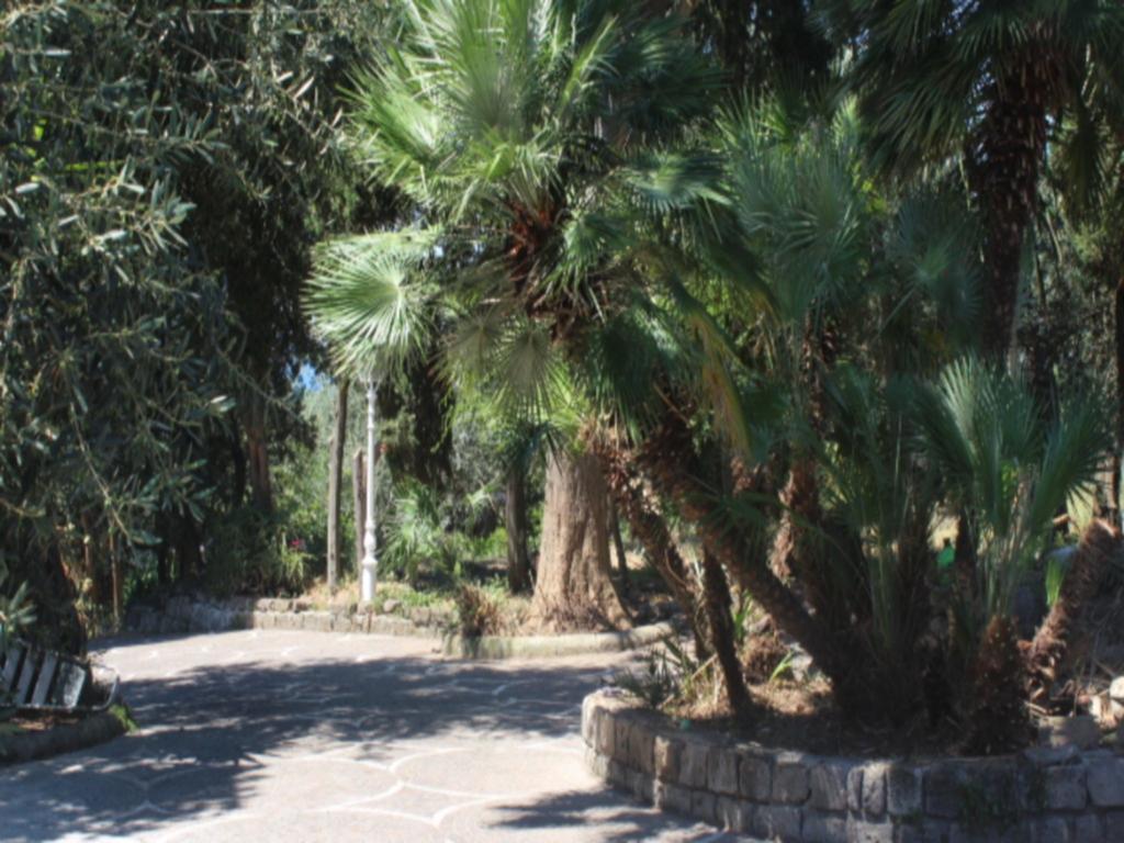 Faraglioni Di Sorrento Guesthouse חדר תמונה